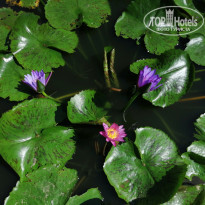 фото из отзыва ID 2106154