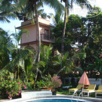 фото из отзыва ID 2106193