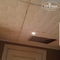 фото из отзыва ID 2106202