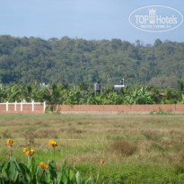 фото из отзыва ID 2106193