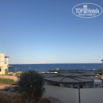 фото из отзыва ID 2106041