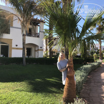 фото из отзыва ID 2106041