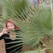 фото из отзыва ID 2106304