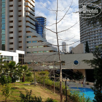 фото из отзыва ID 2106196