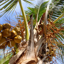 фото из отзыва ID 2104484