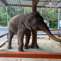 фото из отзыва ID 2106348