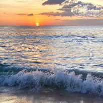 фото из отзыва ID 2106348