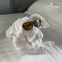 фото из отзыва ID 2106348