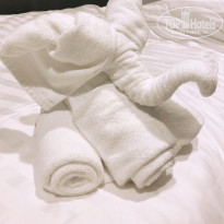 фото из отзыва ID 2106348