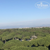 фото из отзыва ID 2106397