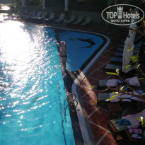 фото из отзыва ID 2106423