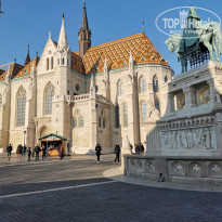 фото из отзыва ID 2106459