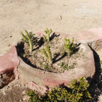 фото из отзыва ID 2106609