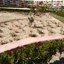 фото из отзыва ID 2106609