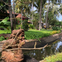 фото из отзыва ID 2106673