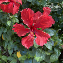 фото из отзыва ID 2105366