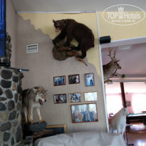 фото из отзыва ID 2106751