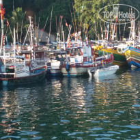 фото из отзыва ID 2102803