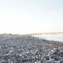 фото из отзыва ID 2106810