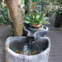 фото из отзыва ID 2101137