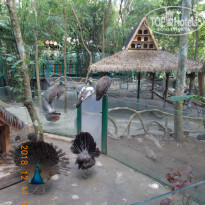 фото из отзыва ID 2101137