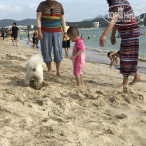 фото из отзыва ID 2106824