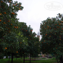 фото из отзыва ID 2106825