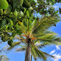 фото из отзыва ID 2106903