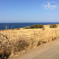 фото из отзыва ID 2106921