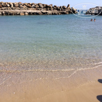 фото из отзыва ID 2106921