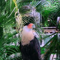 фото из отзыва ID 2106927