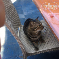 фото из отзыва ID 2106982