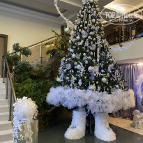 фото из отзыва ID 2106976