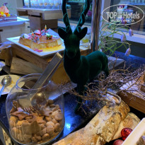 фото из отзыва ID 2107118