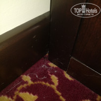 фото из отзыва ID 2107167