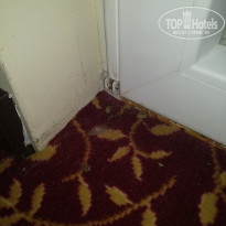 фото из отзыва ID 2107167