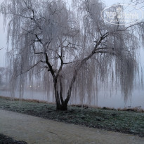 фото из отзыва ID 2107167