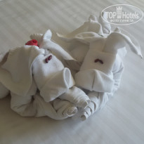 фото из отзыва ID 2107207