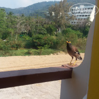 фото из отзыва ID 2107207