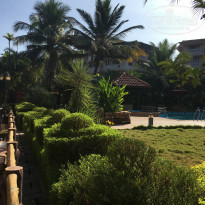 фото из отзыва ID 2107211