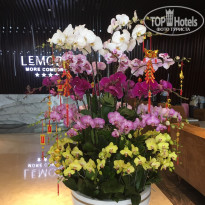 фото из отзыва ID 2107242