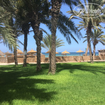 фото из отзыва ID 2107253