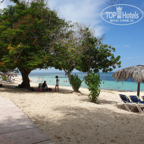 фото из отзыва ID 2107197