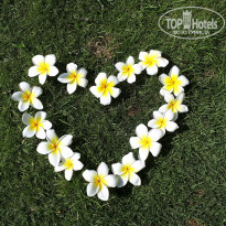 фото из отзыва ID 2107285