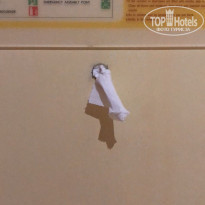 фото из отзыва ID 2107318