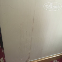 фото из отзыва ID 2107444