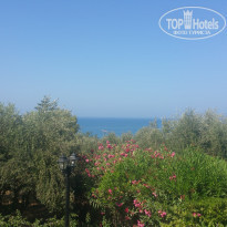 фото из отзыва ID 2107456