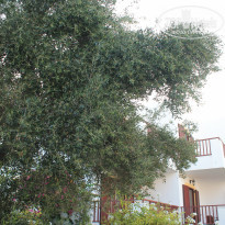 фото из отзыва ID 2107456