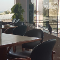 фото из отзыва ID 2107499