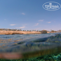 фото из отзыва ID 2107558